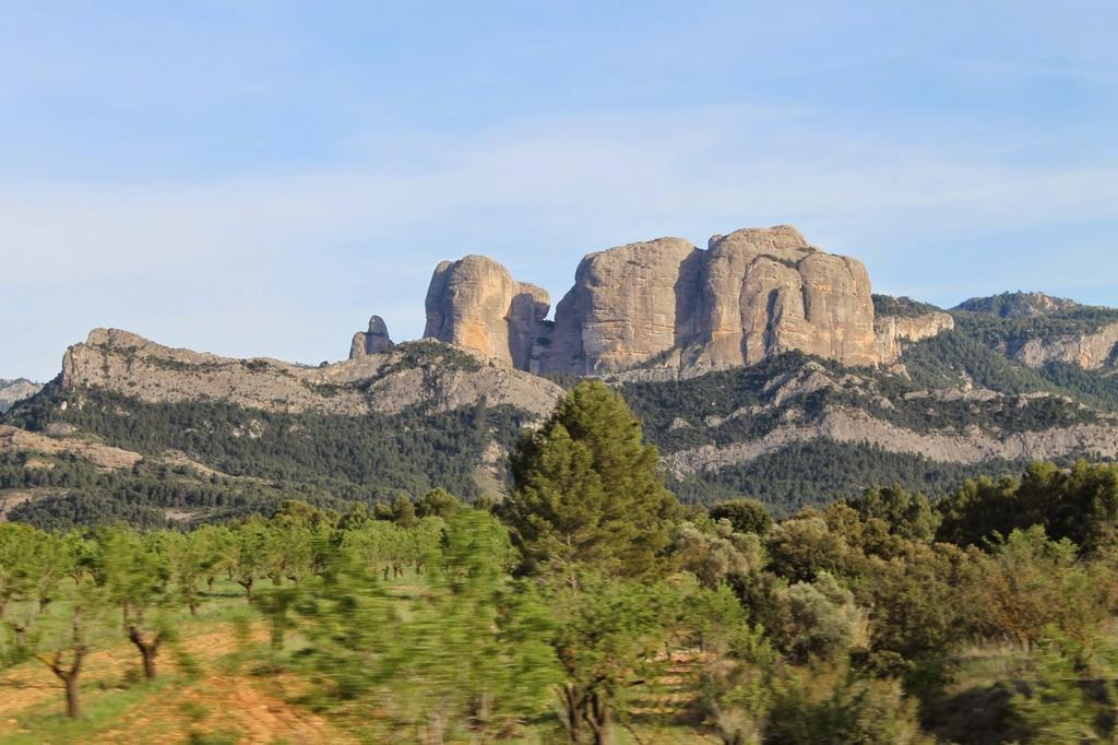Enoturismo Celler Pinol Διαμέρισμα Batea Εξωτερικό φωτογραφία