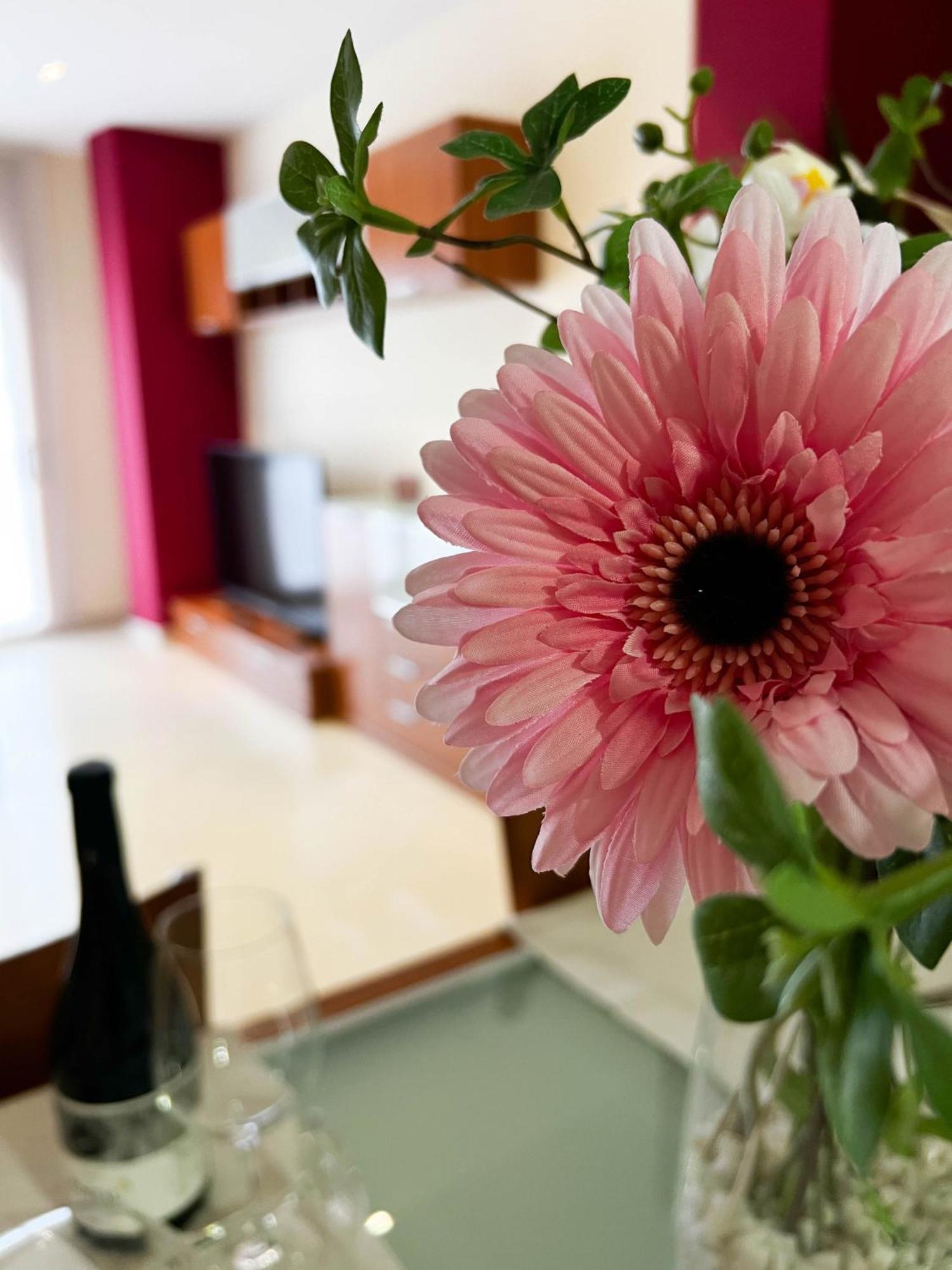 Enoturismo Celler Pinol Διαμέρισμα Batea Εξωτερικό φωτογραφία