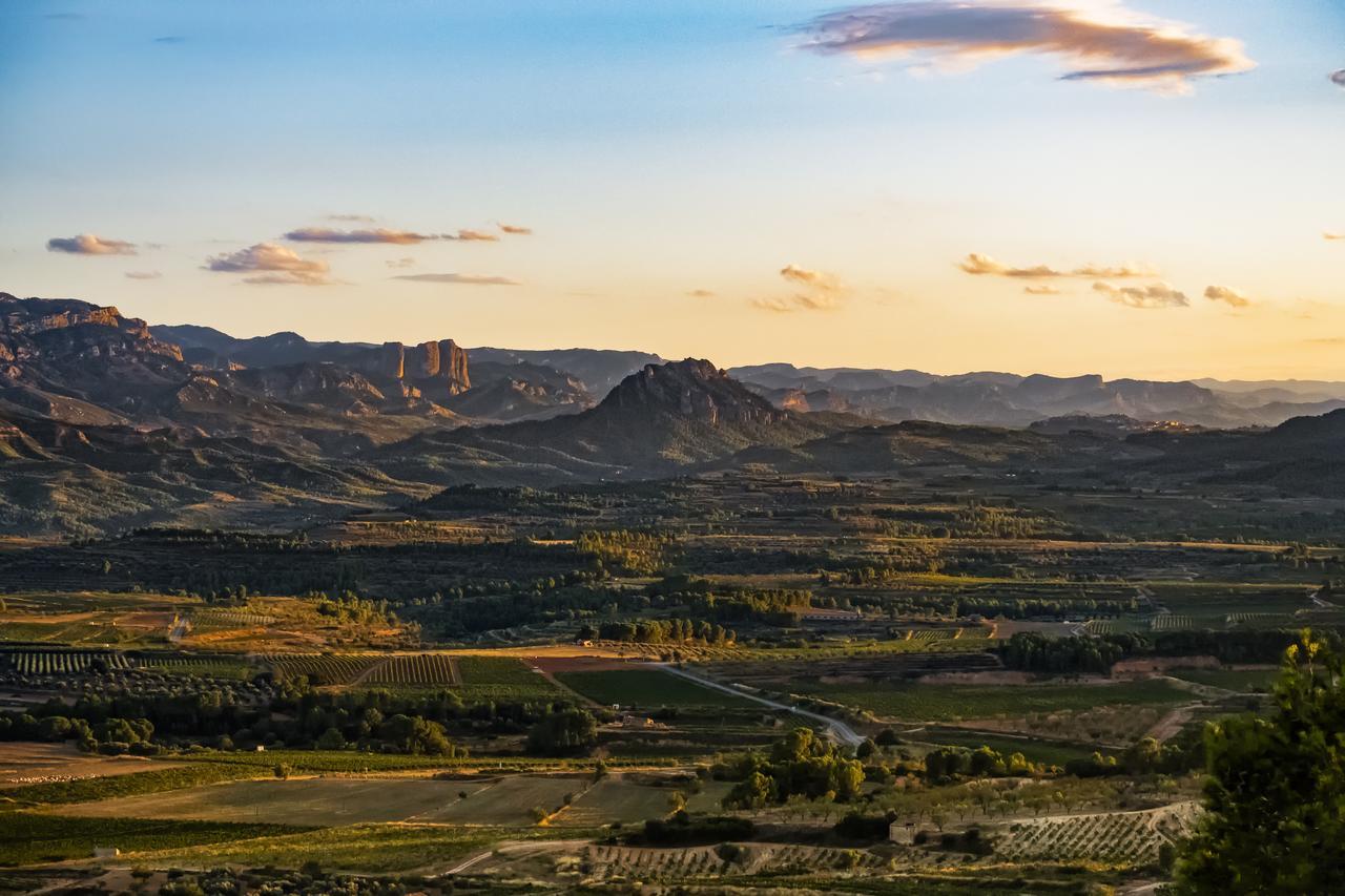 Enoturismo Celler Pinol Διαμέρισμα Batea Εξωτερικό φωτογραφία